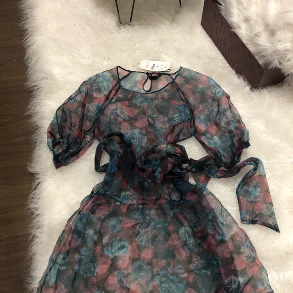 Zara Tops Zara Floral Organza Sexy Dress Poshmark
